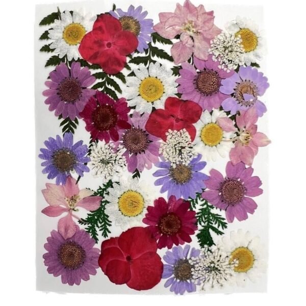 Dry flawer - mixs color
