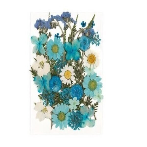 Dry flawer - blue